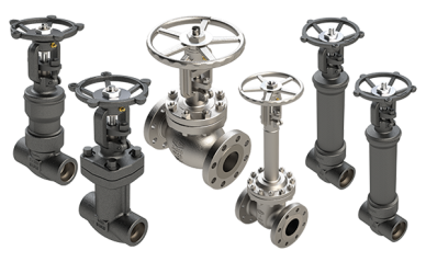 Dixon bellows sealed valves