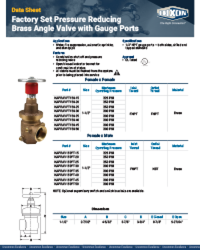 Factory Set Pressure Reducing Brass Angle Valve with Gauge Ports