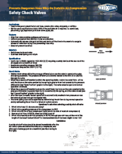 Safety Check Valves